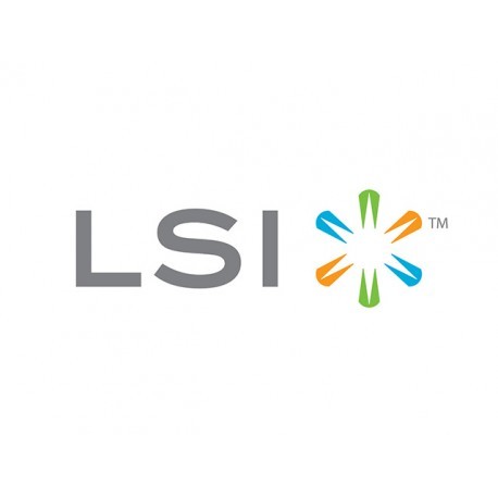 IO Accelerator LSI BLP4-800