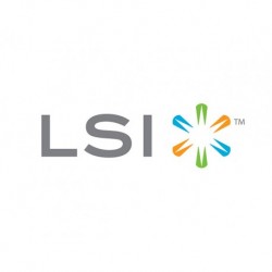 IO Accelerator LSI BLP4-1600