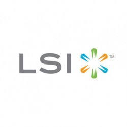 IO Accelerator LSI WLP4-400